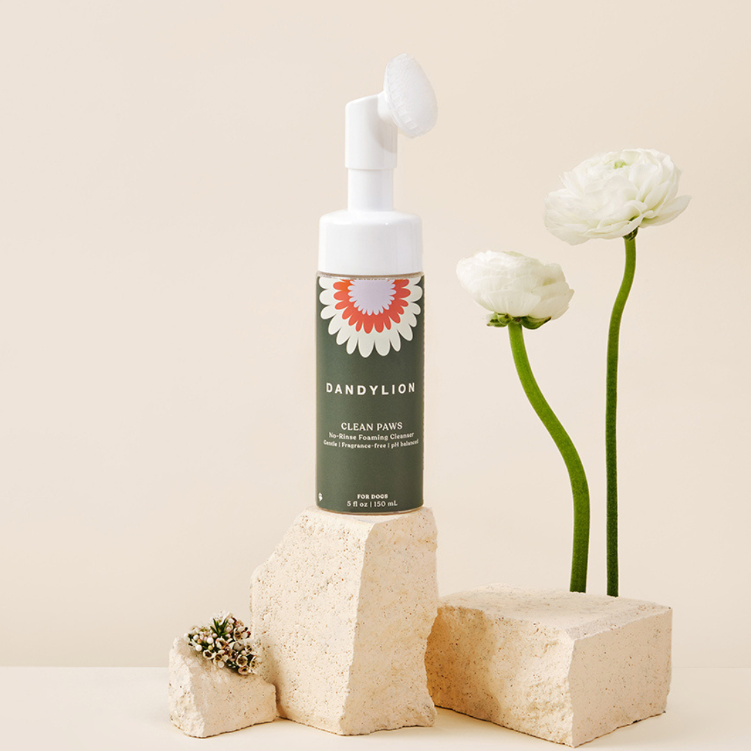Dandylion Clean Paws No Rinse Foaming Cleanser