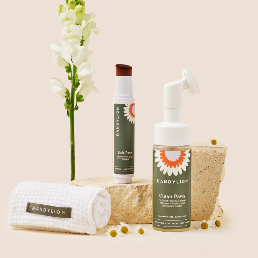 The Paw Care Starter Kit | Paw Cleanser + Towel + Paw Lotion