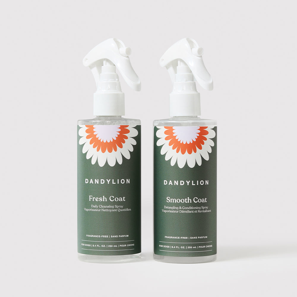 The Fresh + Smooth Kit – Dandylion