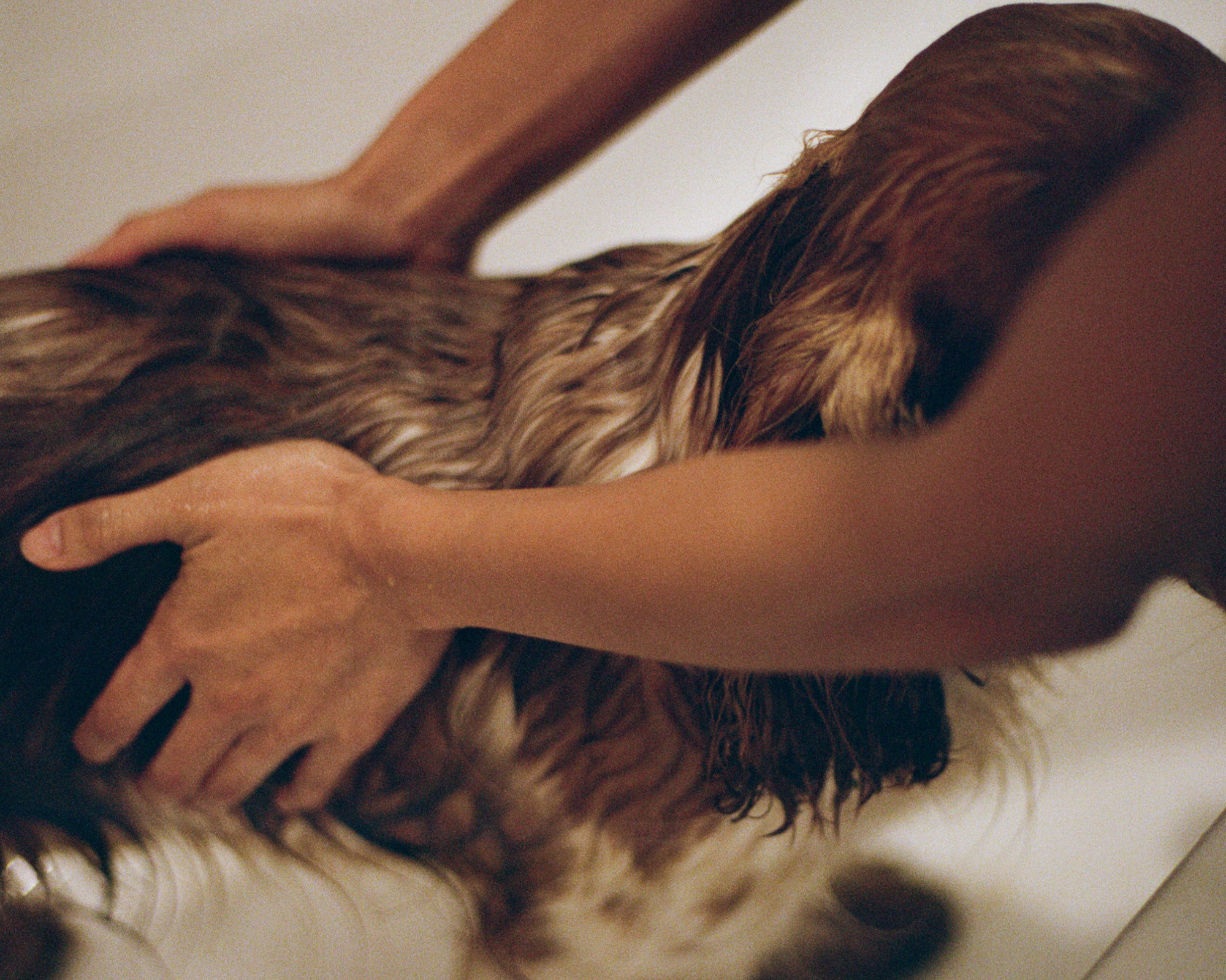 Dog Skin Barrier 101: What It Is & Why It Matters