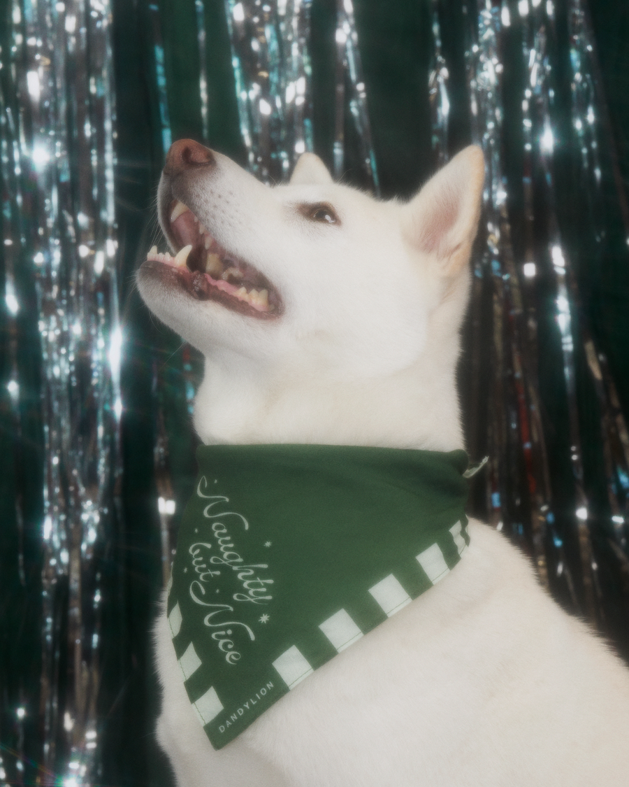 Holiday Dog Bandana 2025