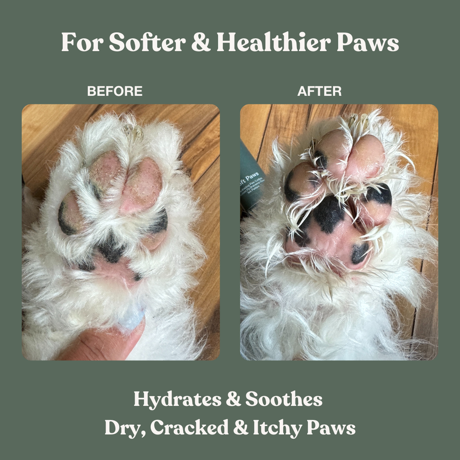 Dog paw pads dry online