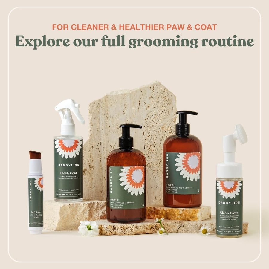 Refill for Fresh Coat Daily Cleansing Spray | Waterless No-Rinse Shampoo