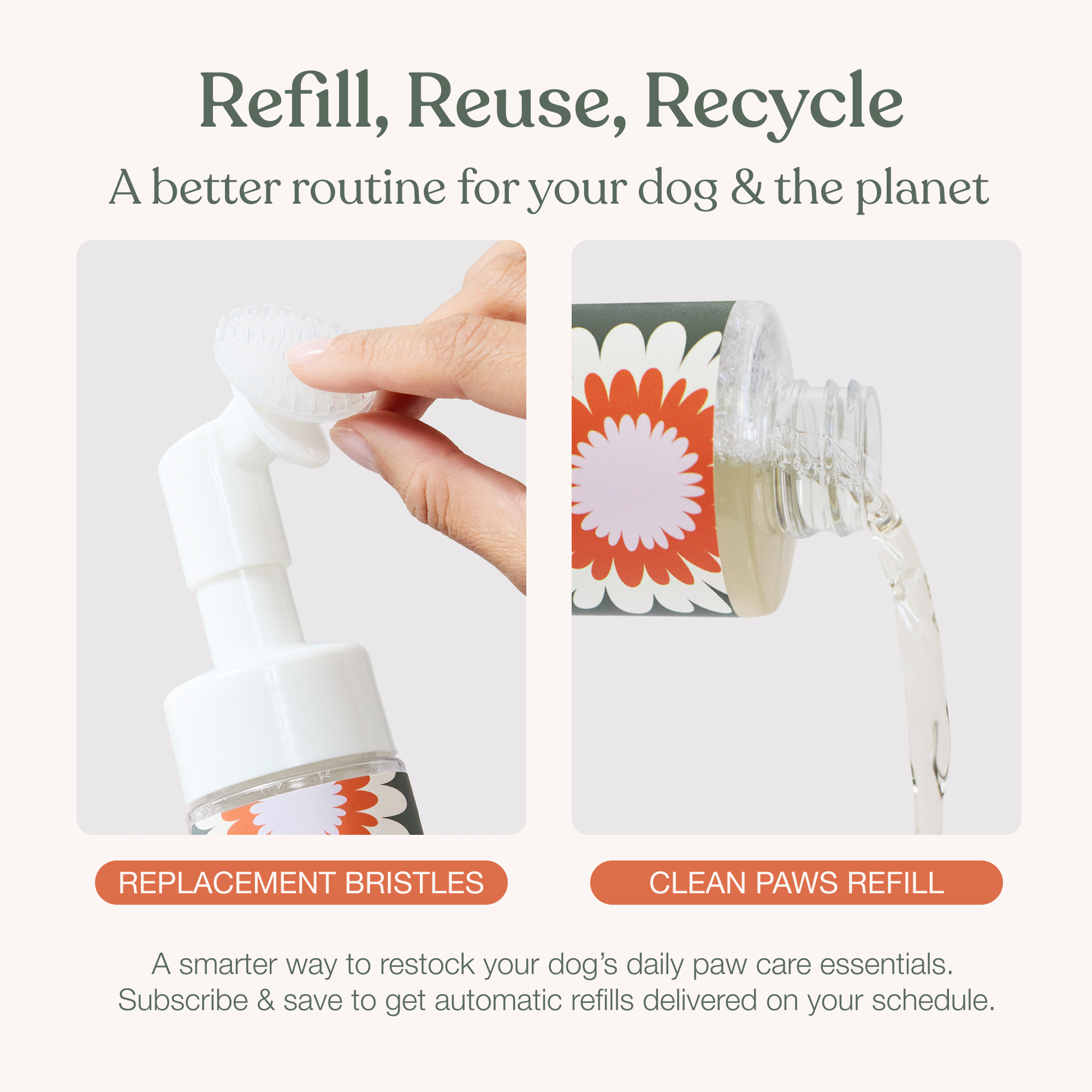 Clean Paws No-Rinse Foaming Cleanser