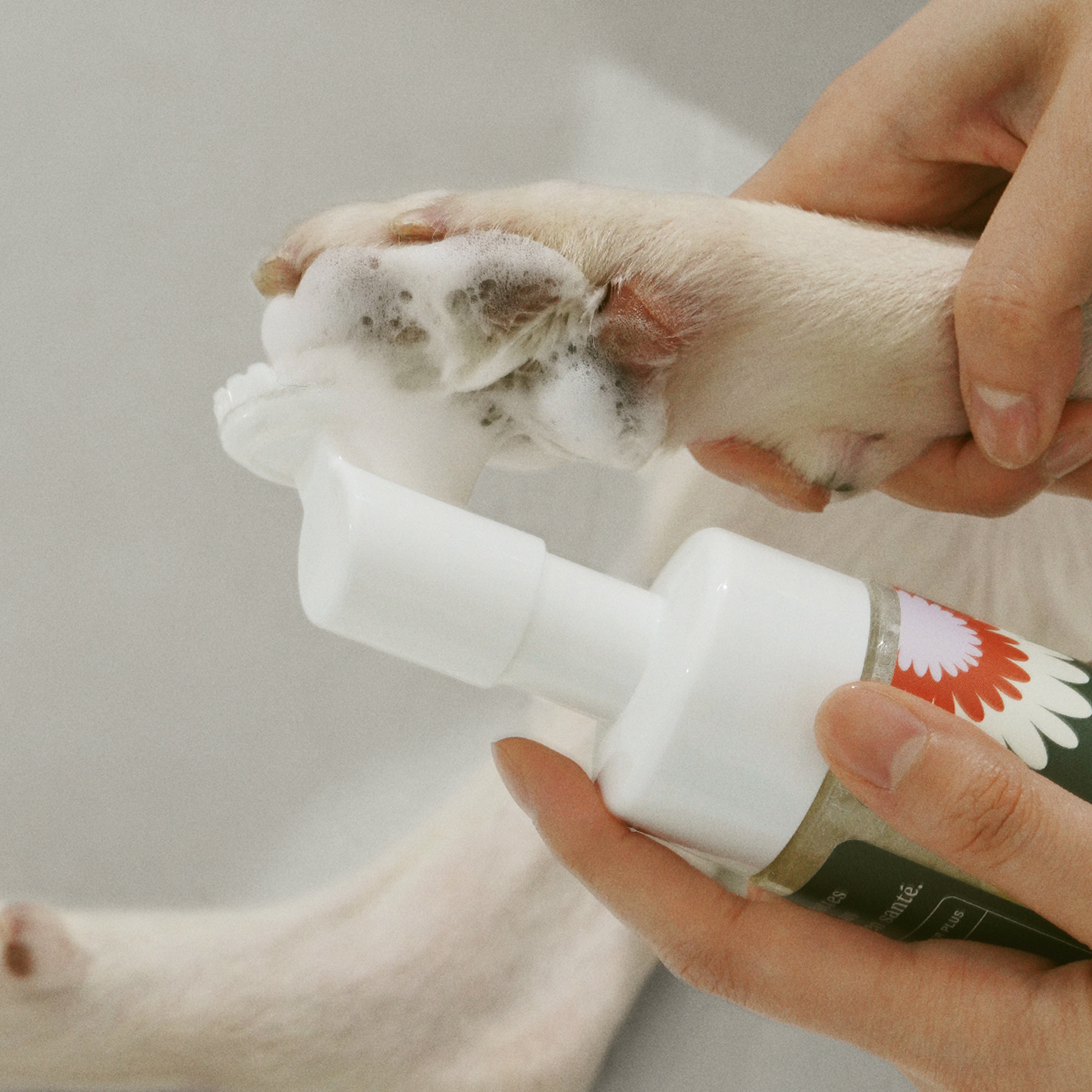 Clean Paws No-Rinse Foaming Cleanser