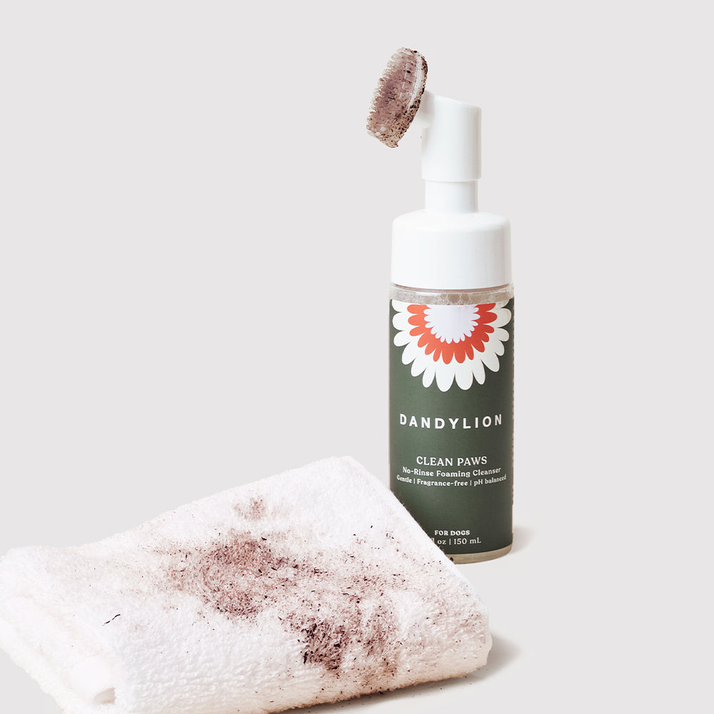 Clean Paws No-Rinse Foaming Cleanser