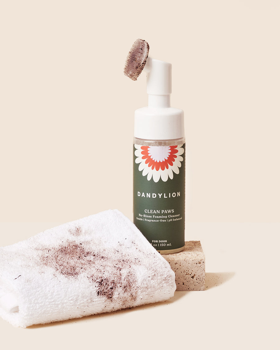 Clean Paws No-Rinse Foaming Cleanser