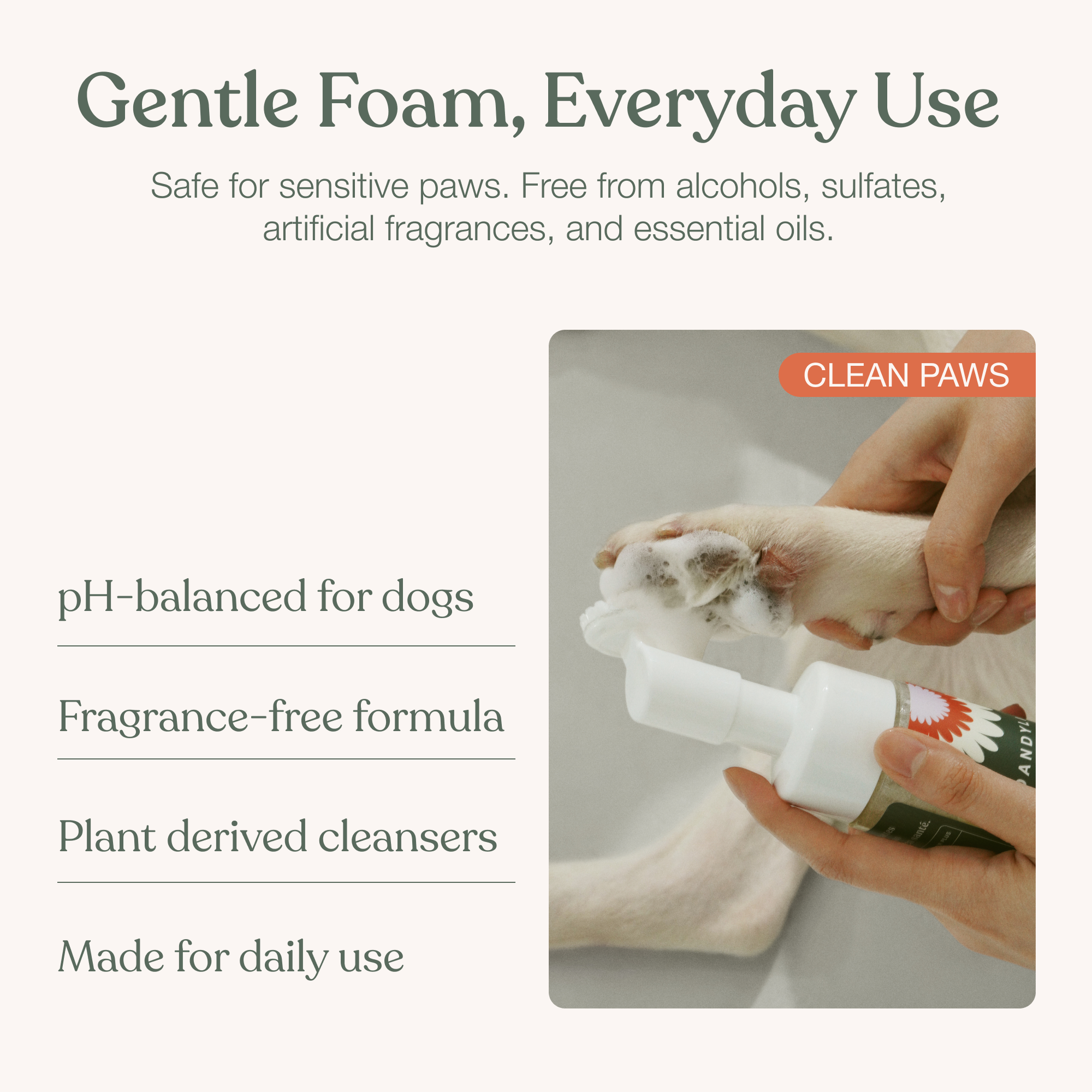 Clean Paws No-Rinse Foaming Cleanser