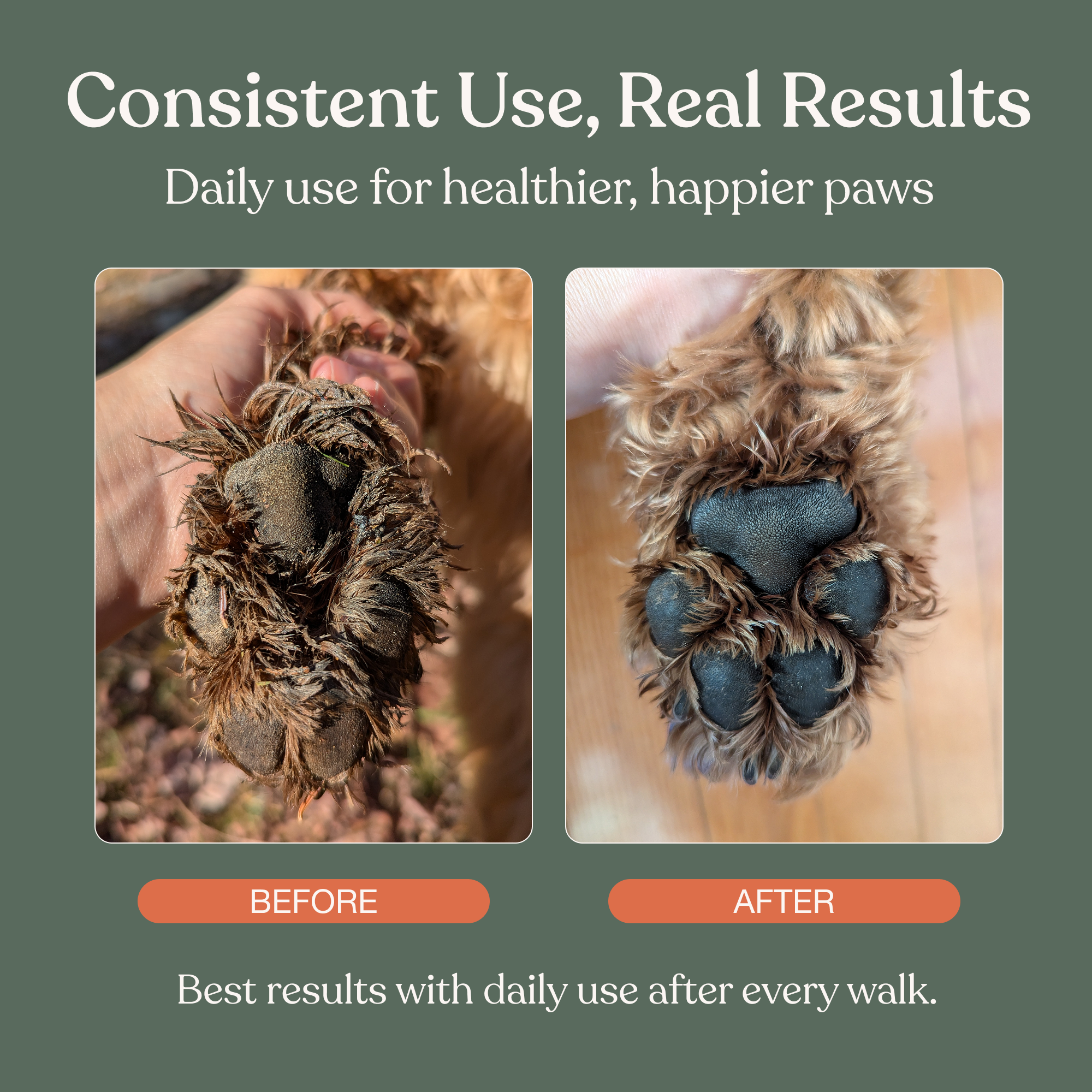 Clean Paws No-Rinse Foaming Cleanser