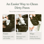 Clean Paws No-Rinse Foaming Cleanser