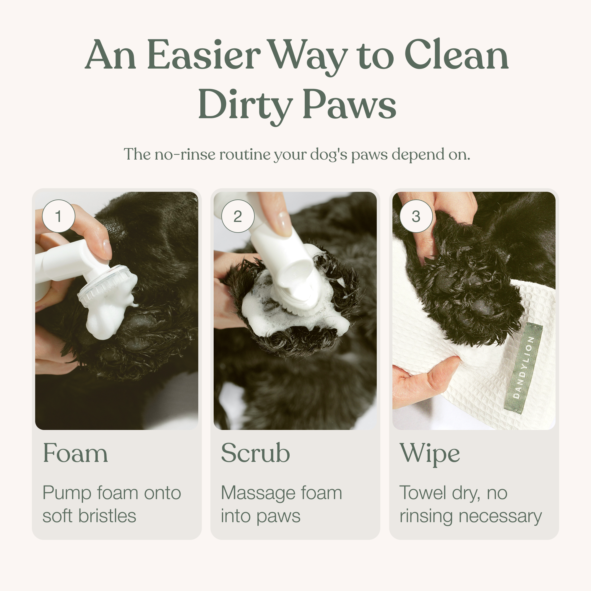 Clean Paws No-Rinse Foaming Cleanser