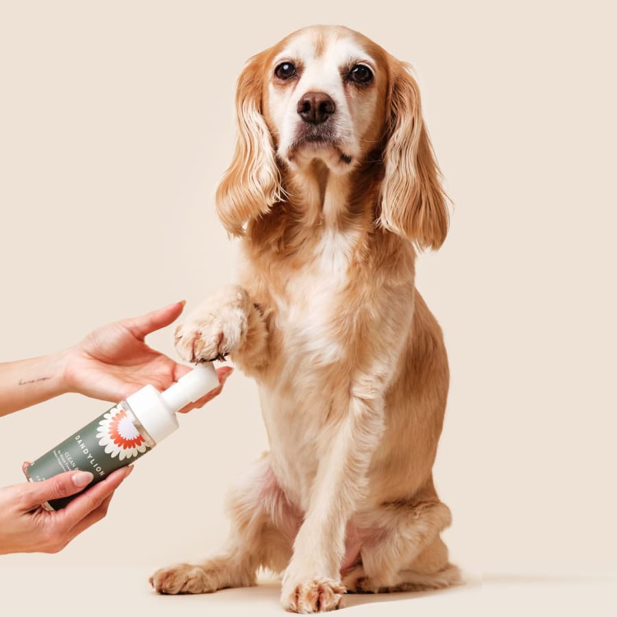 Daily Clean Kit | Paw Cleanser + Coat Cleansing Spray