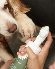 Clean, Soft Paws Kit | Winter Paw Rescue