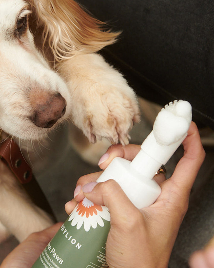 Clean, Soft Paws Kit | Paw Cleanser + Paw Lotion
