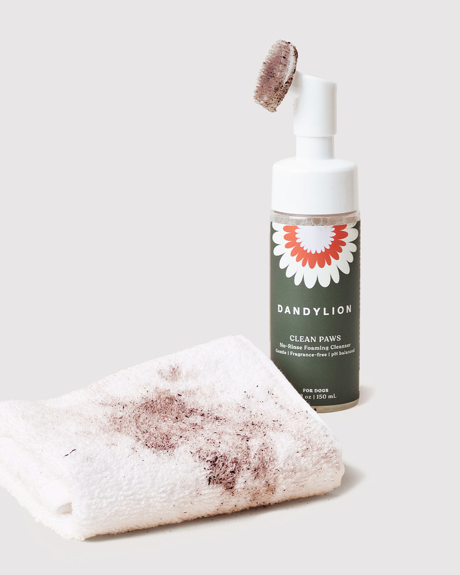 Clean Paws No-Rinse Foaming Cleanser