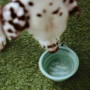 Collapsible Travel Dog Bowl