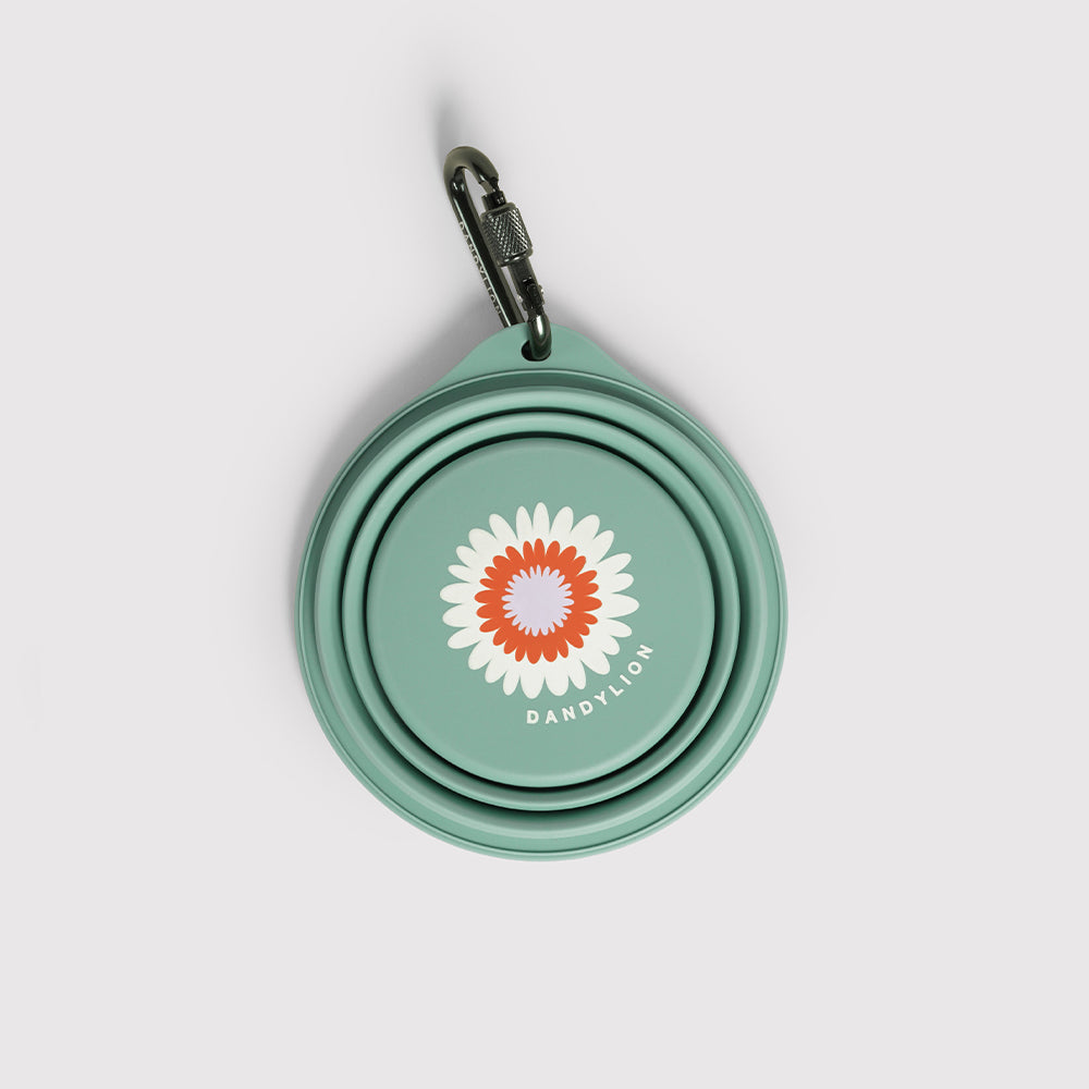 Collapsible Travel Dog Bowl