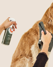 Daily Coat Cleaning Kit | Coat Cleansing Spray + Towel (Green)