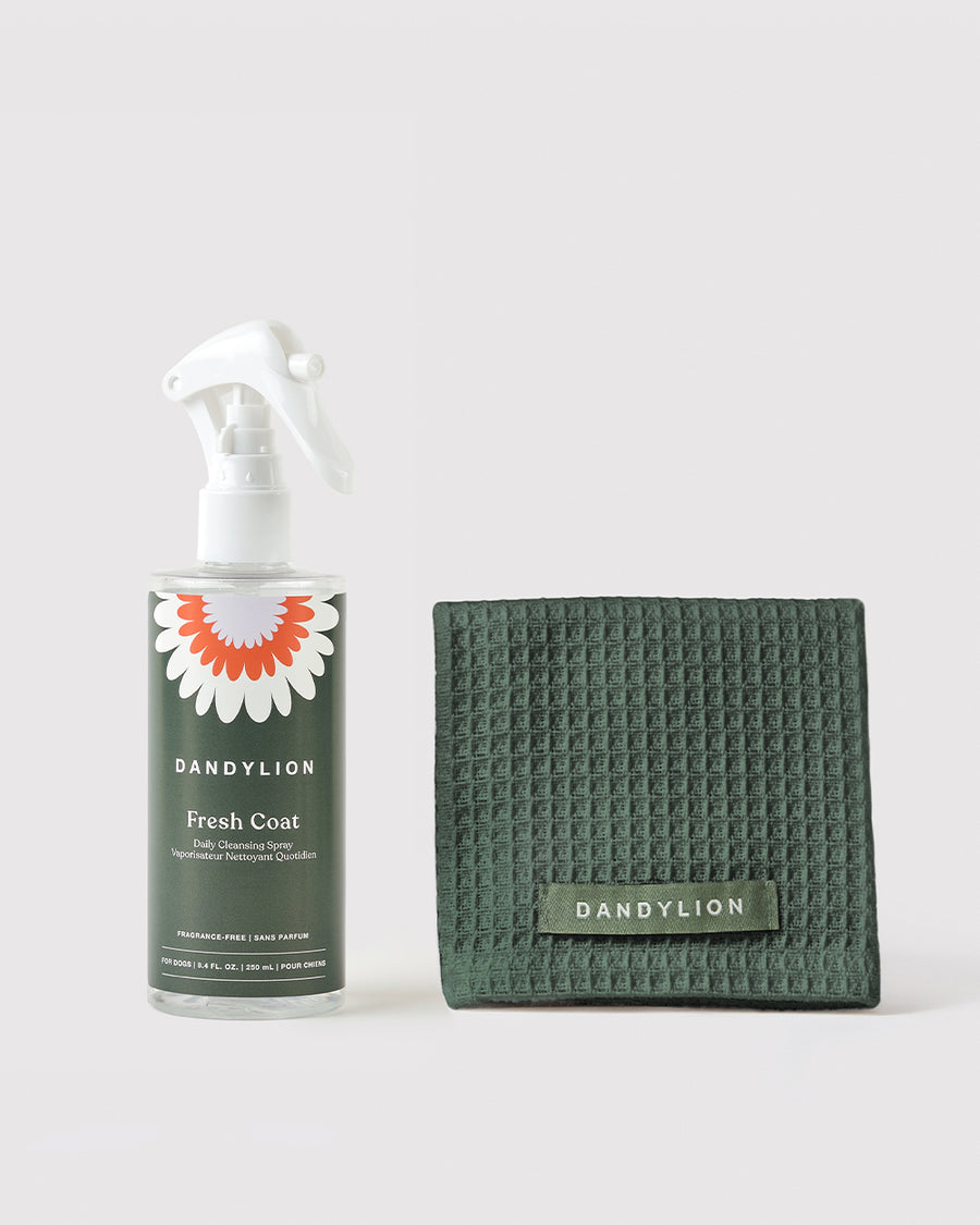 Daily Coat Cleaning Kit | Coat Cleansing Spray + Towel (Green)