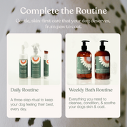 The Daily Routine