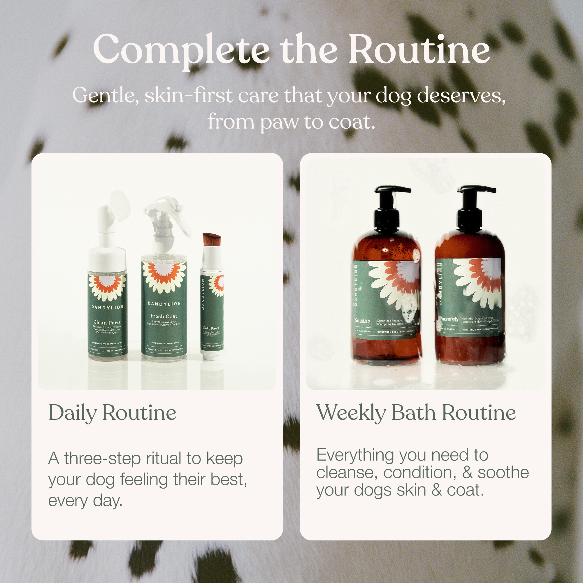 The Daily Routine