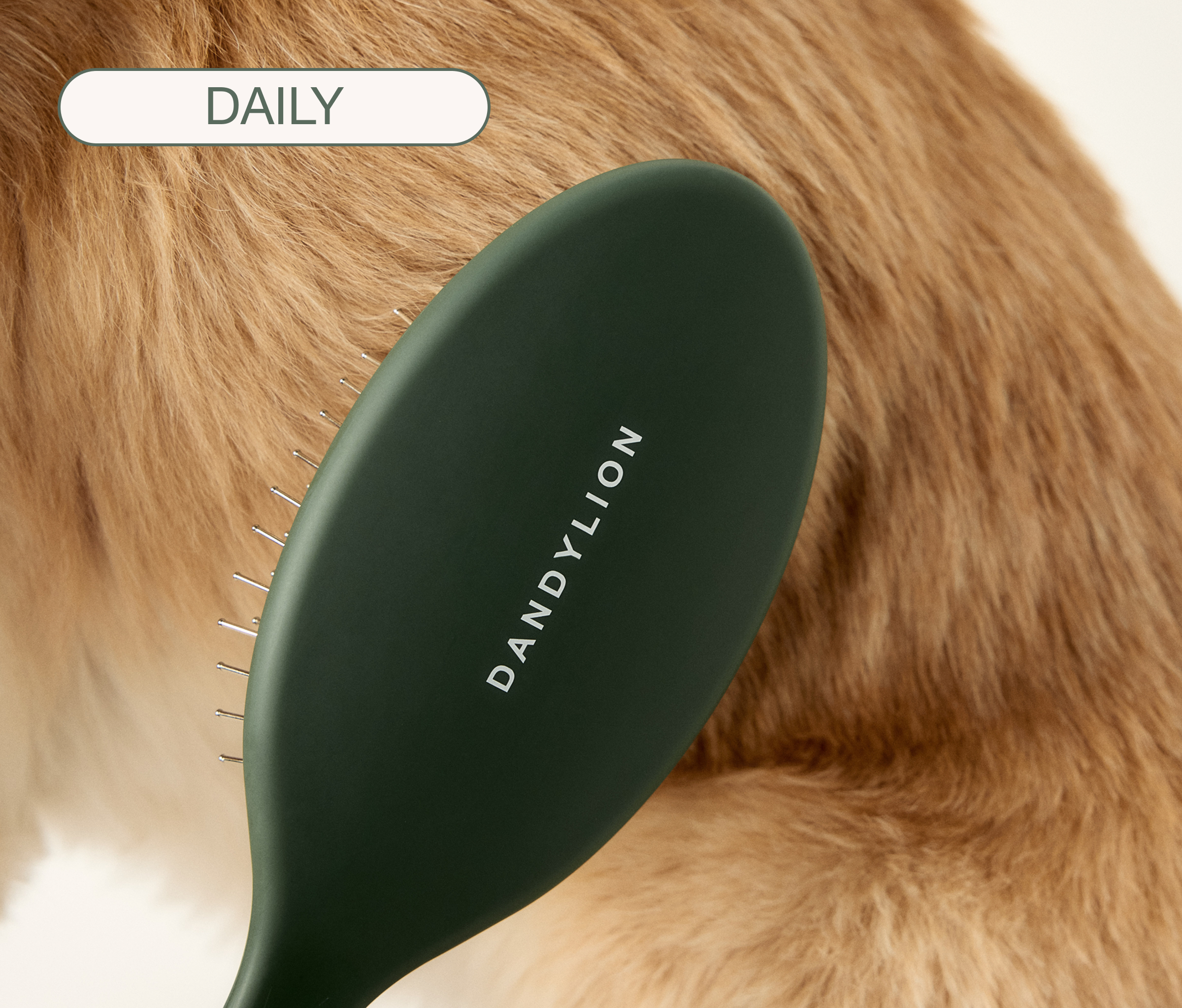 Smooth Coat + Brush