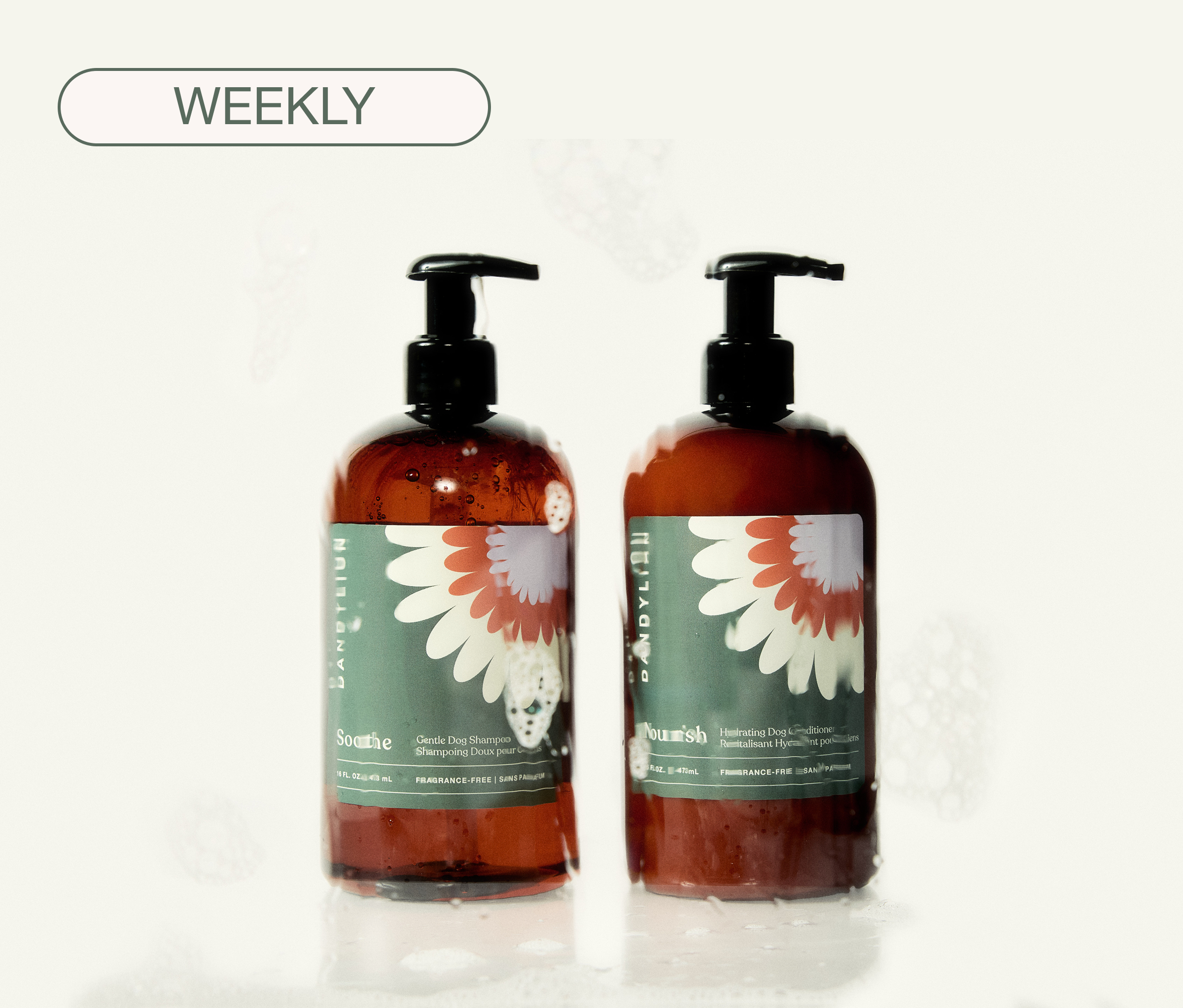 Shampoo + Conditioner