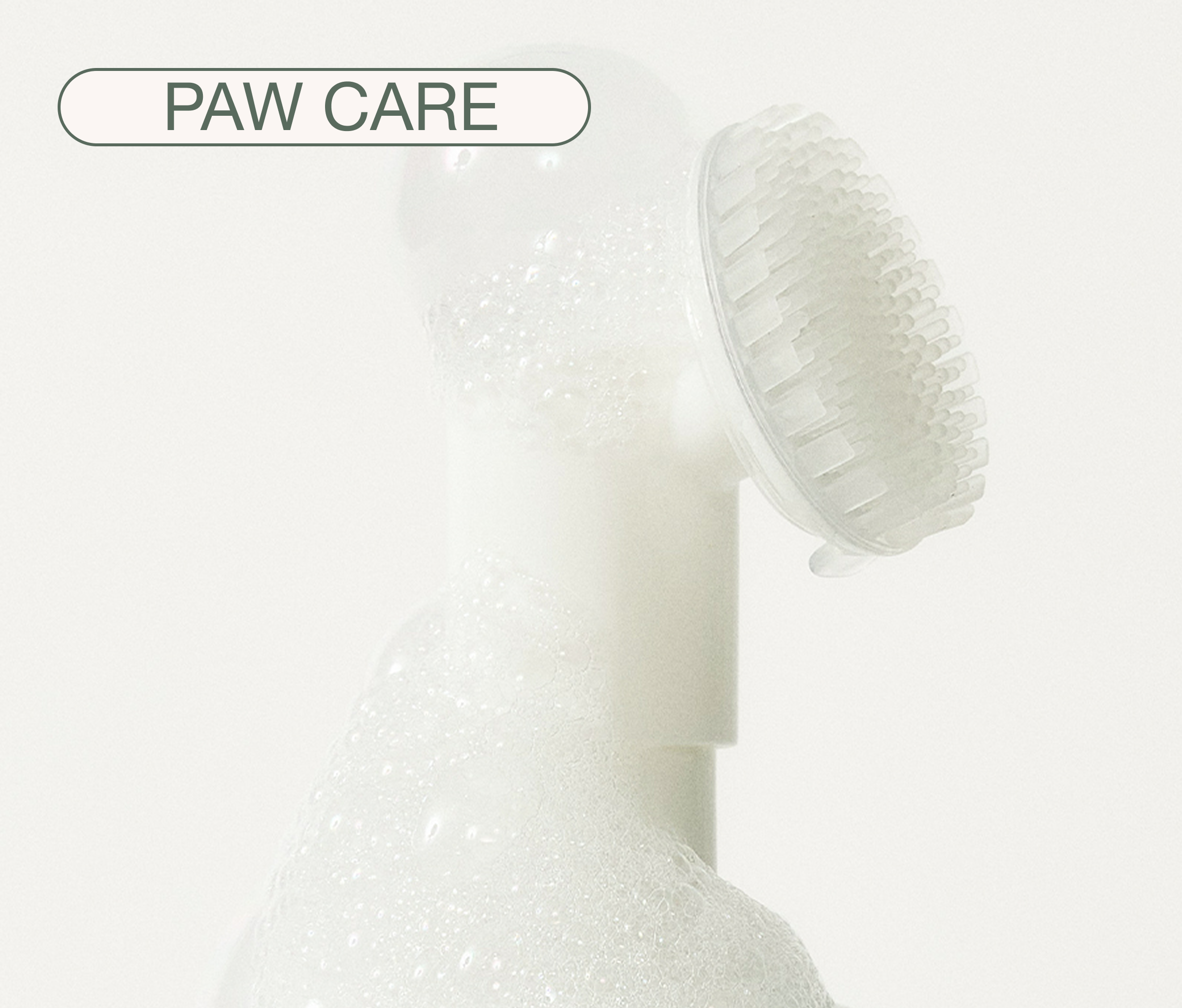 Clean Paws