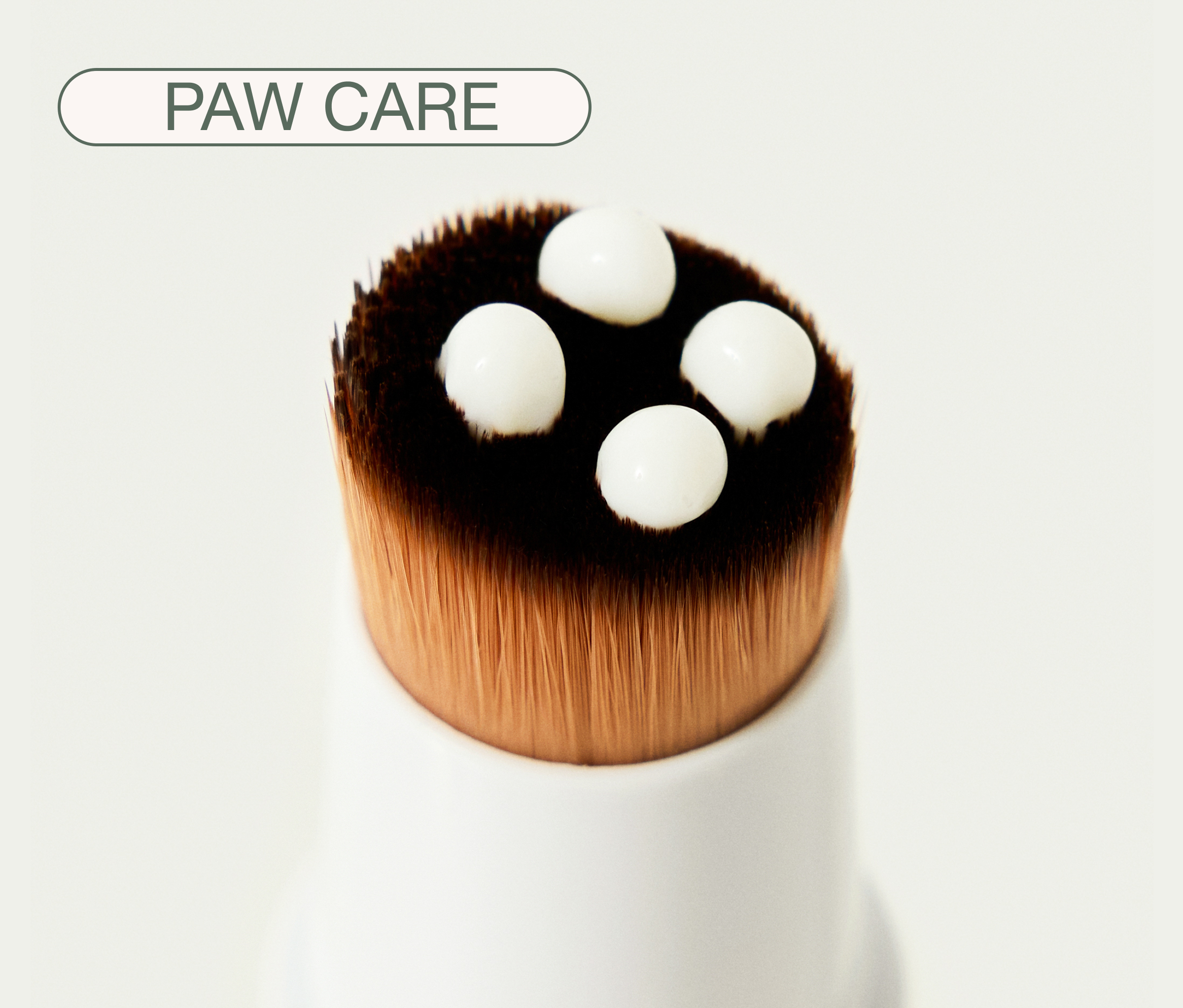 Soft Paws