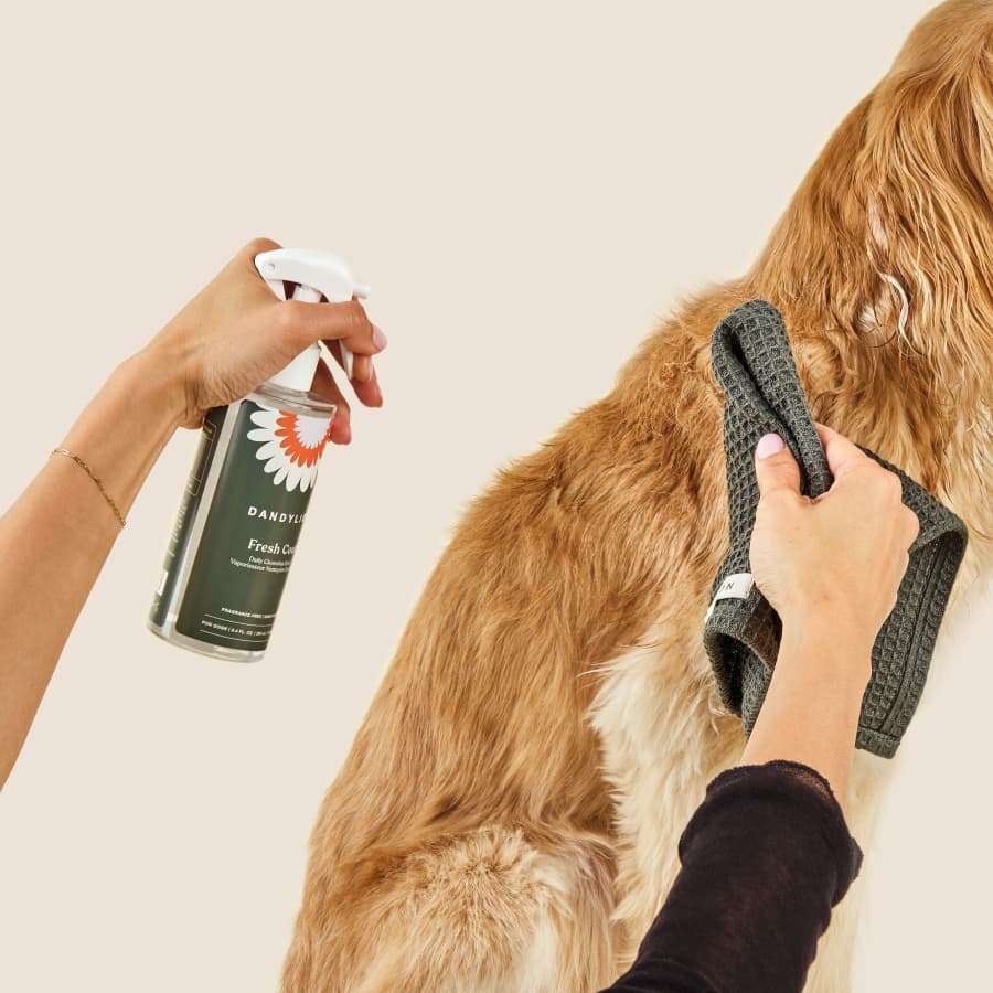 The Everything Kit - Coat + Paw Care | Paw Cleanser + Coat Cleansing Spray + Paw Lotion + Shampoo + Conditioner