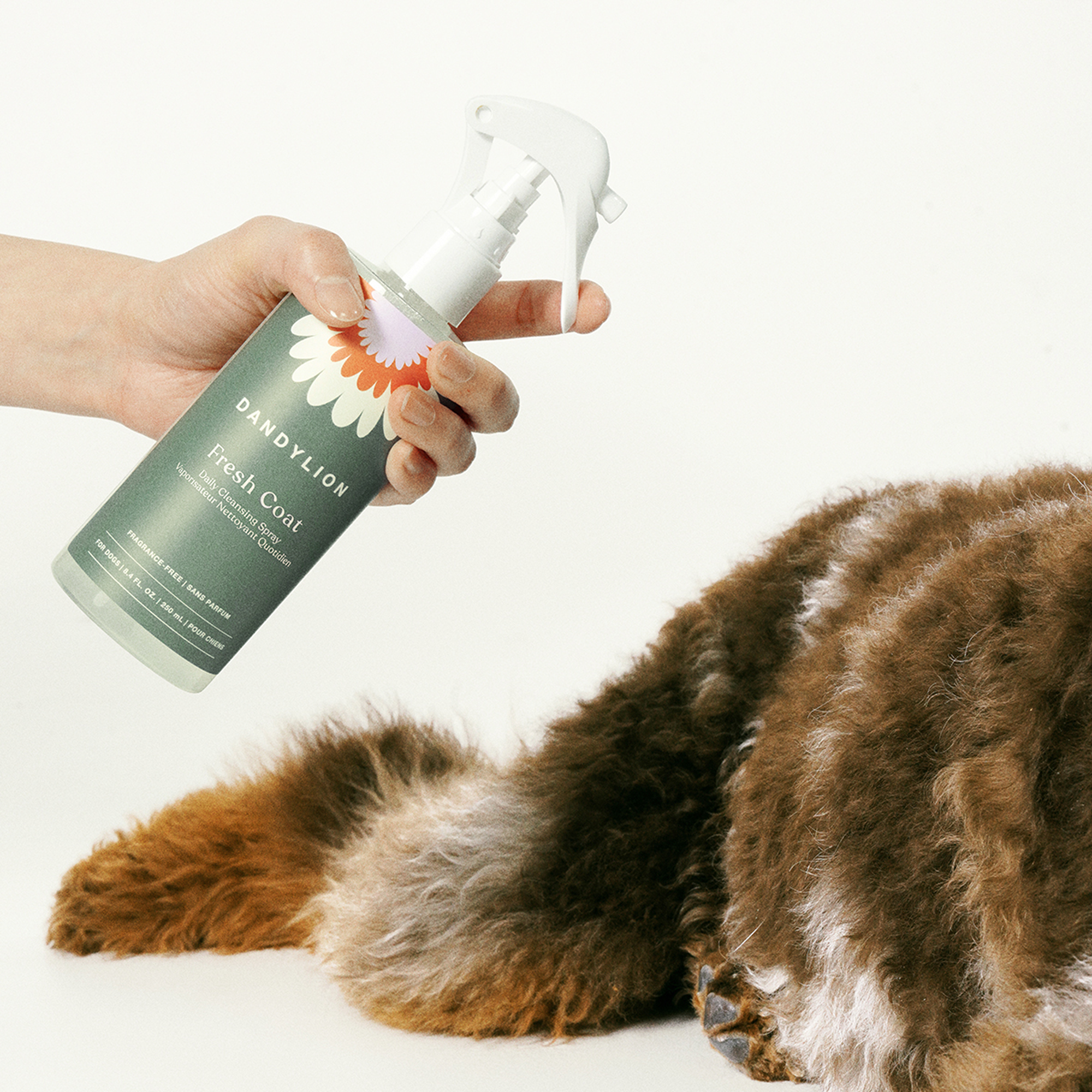 Fresh Coat Daily Cleansing Spray