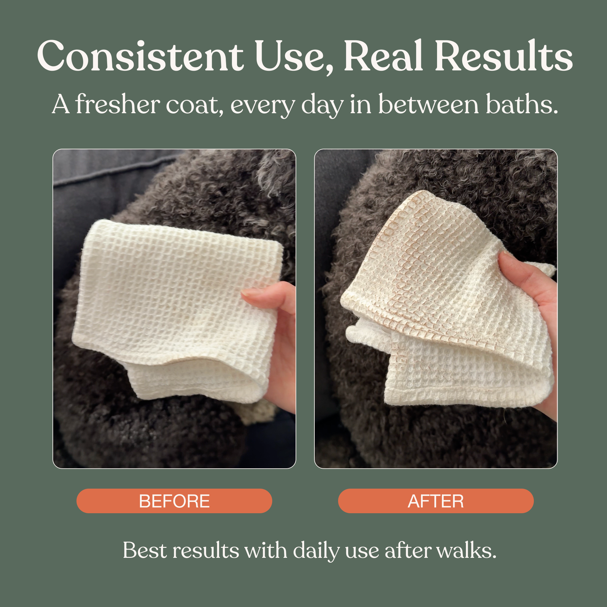 Fresh Coat Daily Cleansing Spray