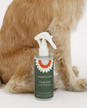 Refill for Fresh Coat Daily Cleansing Spray