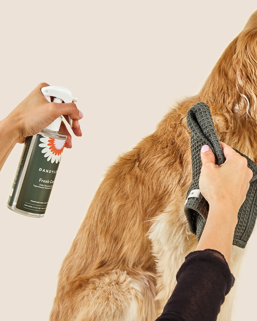 Fresh Coat Mini (100mL)