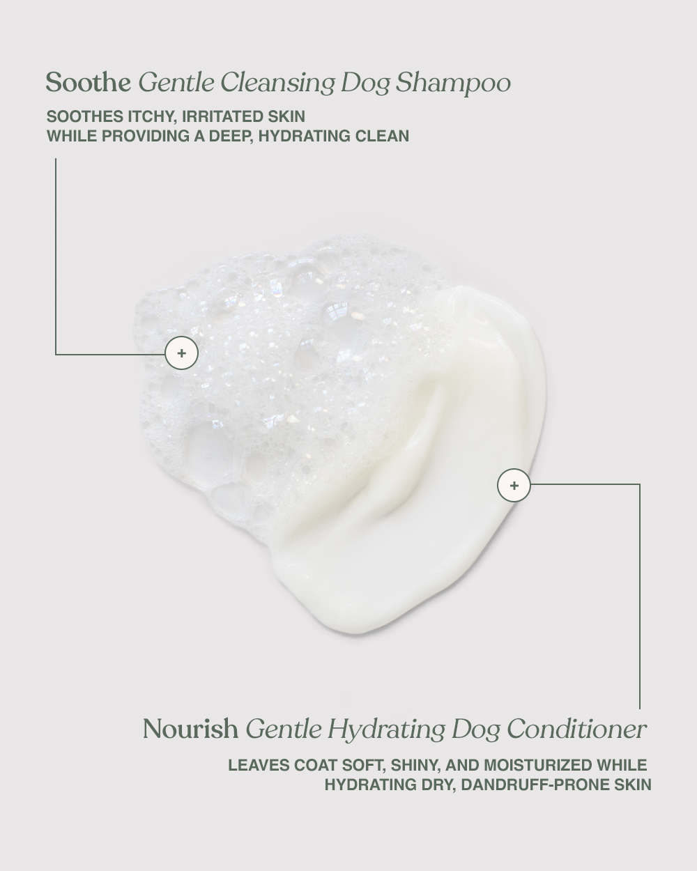 Gentle Dog Wash Essentials