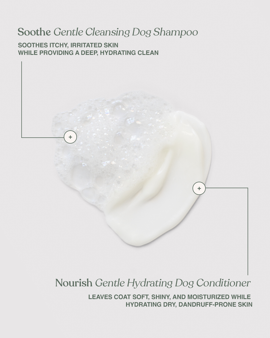 Gentle Dog Wash Essentials