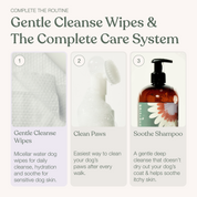 Gentle Cleanse Dog Wipes - 3 Packs of 30