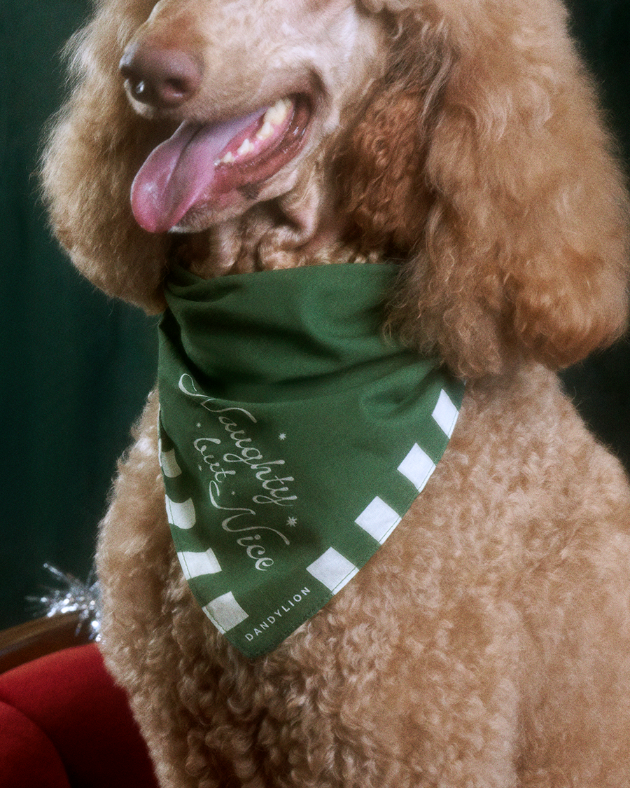 The Good Hair Day Bundle