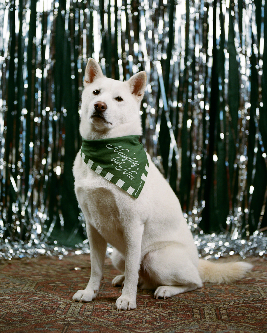 Holiday Dog Bandana 2025