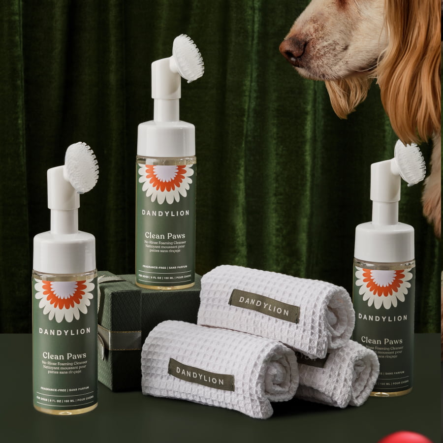 Stocking Stuffer for Three | 3 Paw Cleansers + 3 Paw Towels