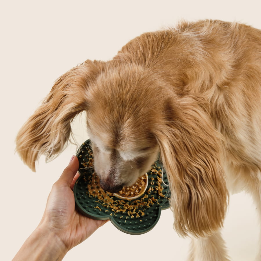 Easy Paw Care Kit | Paw Cleanser + Paw Lotion + Lick Mat