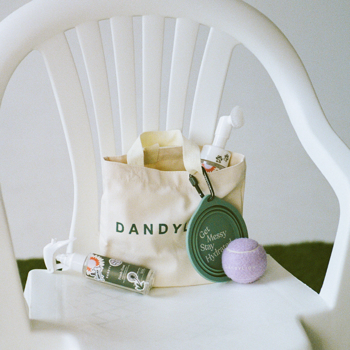 Mini Tote Bag