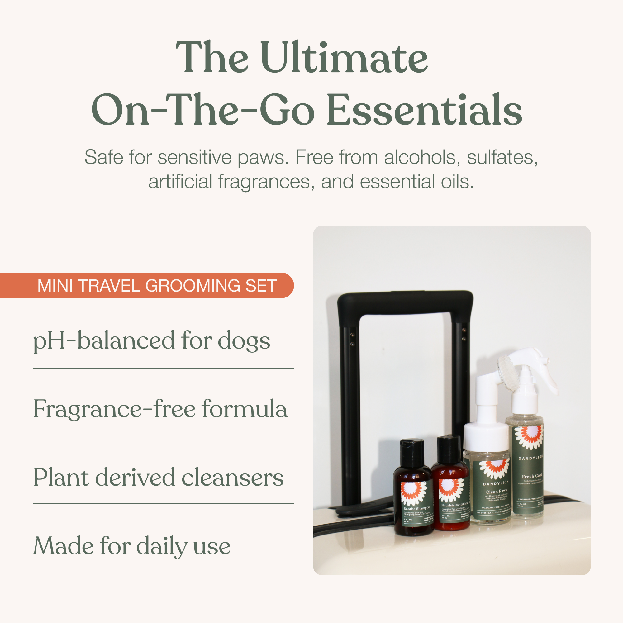 Mini Travel Grooming Set for Dogs