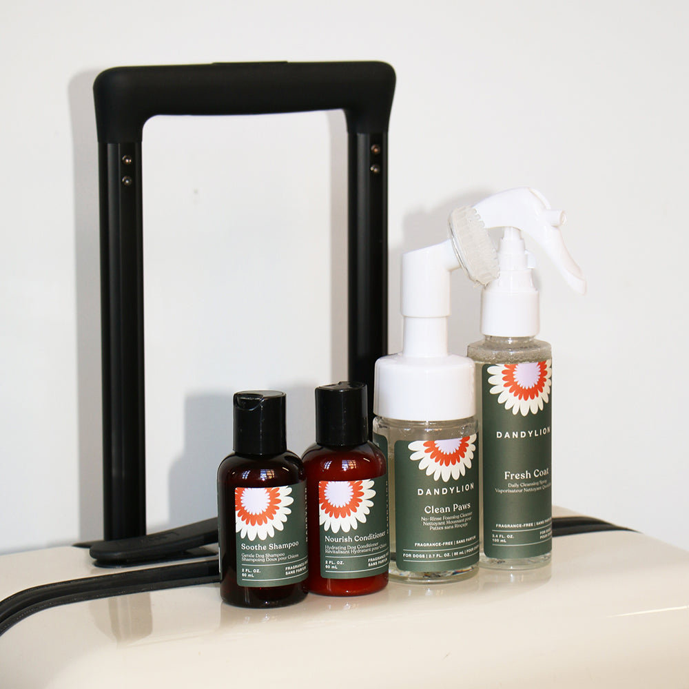 Mini Travel Grooming Set for Dogs