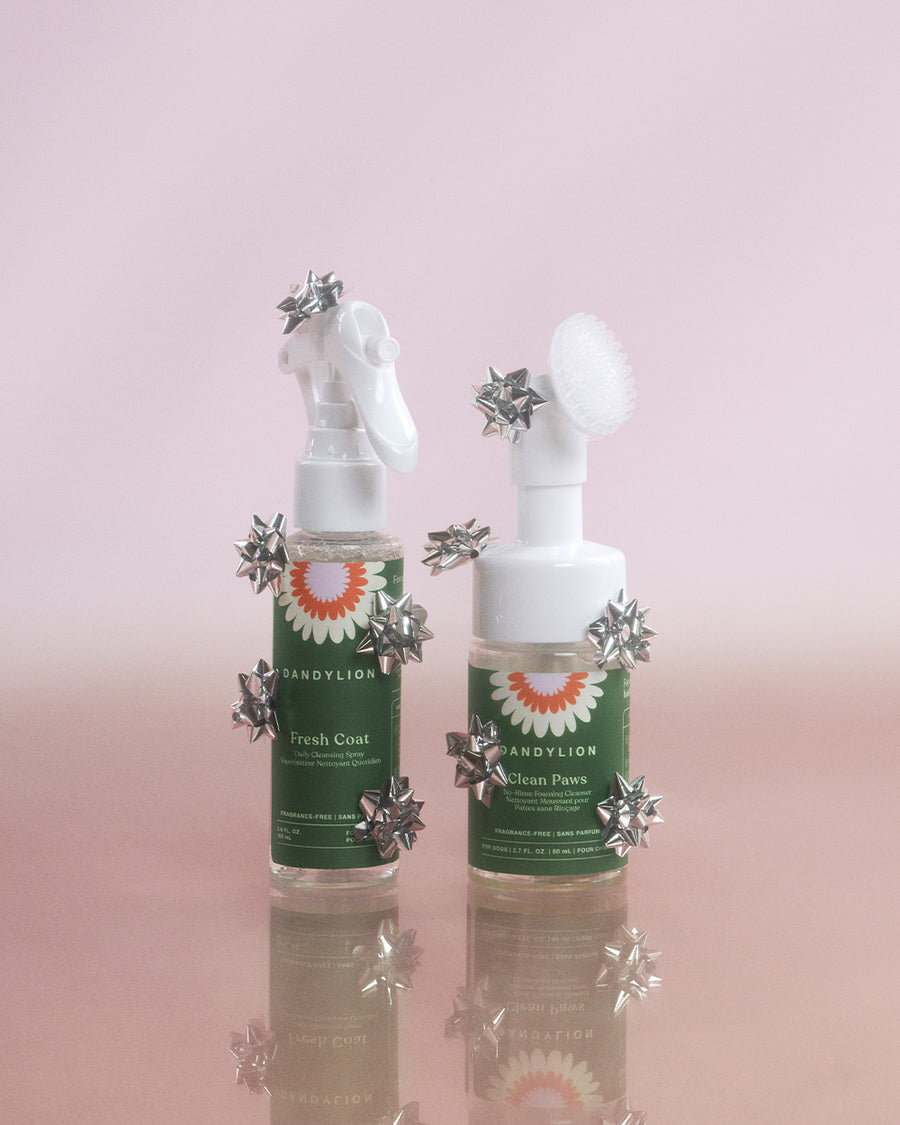 On-the-Go Kit | Travel-Ready Minis