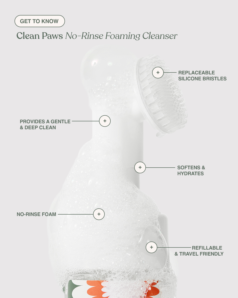 Clean Paws with Refill