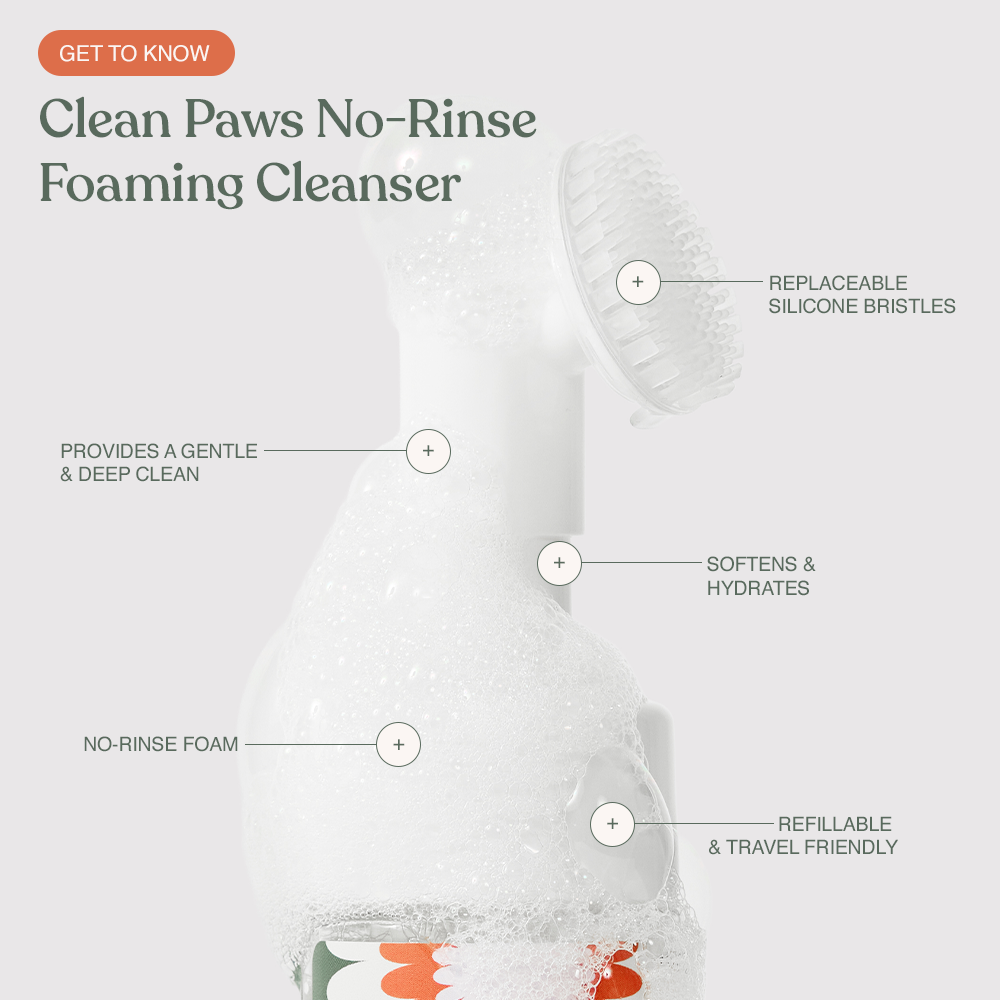Clean Paws with Refill