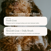 The Everyday Coat Ritual