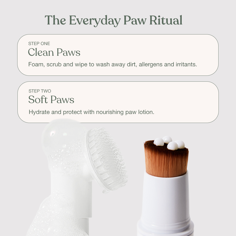 The Paw Care Starter Kit