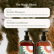 The Wash Ritual